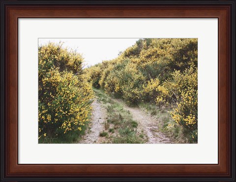 Framed Scottish Highlands II Print