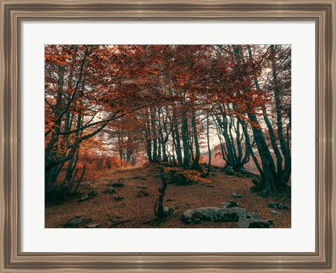 Framed Orange Season Print