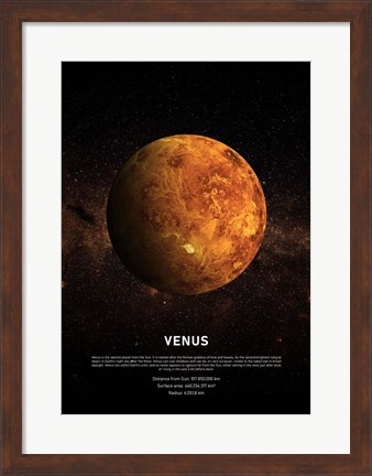 Framed Venus Print