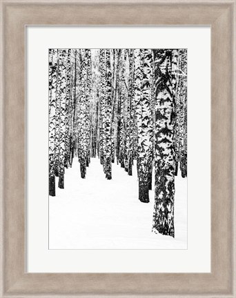 Framed White Edition 2 Print