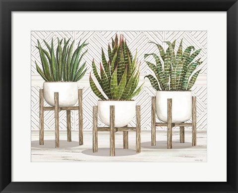 Framed Succulent Trio on Stands Print