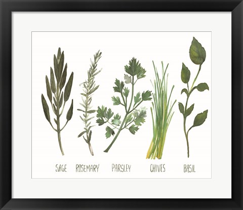 Framed Watercolor Herbs Print