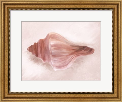 Framed Conch Shell Blush I Print