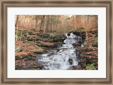 Framed Waterfall Steps at Pigeon Run Print