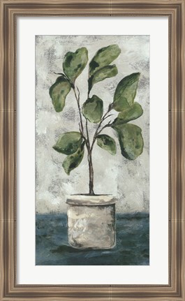 Framed Fiddle Leaf Fig Print