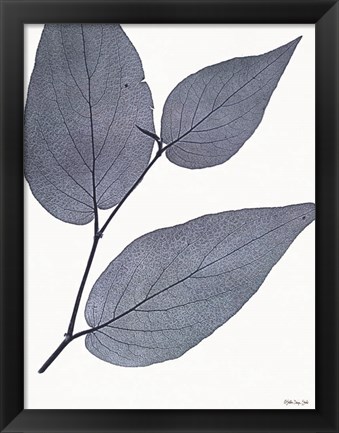 Framed Indigo Nature Study II Print