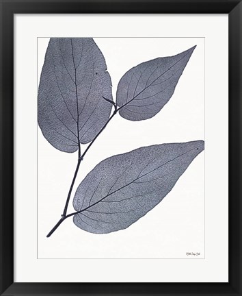 Framed Indigo Nature Study II Print