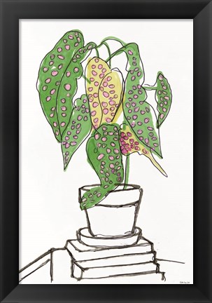 Framed House Plant Study II Print