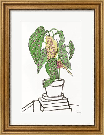 Framed House Plant Study II Print