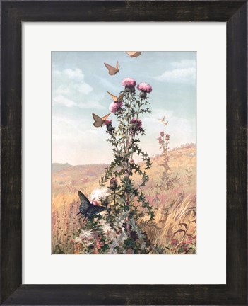 Framed Meadow Butterflies Print