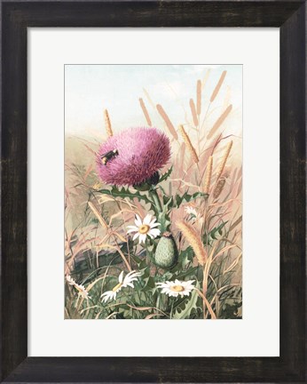 Framed Meadow Flowers 1 Print