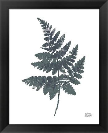 Framed Fern II Print