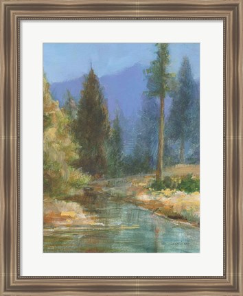 Framed Western Pines Print