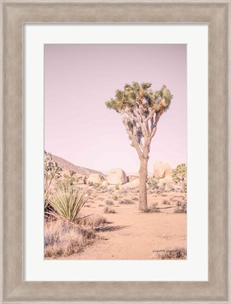 Framed Joshua Tree III Blush Print