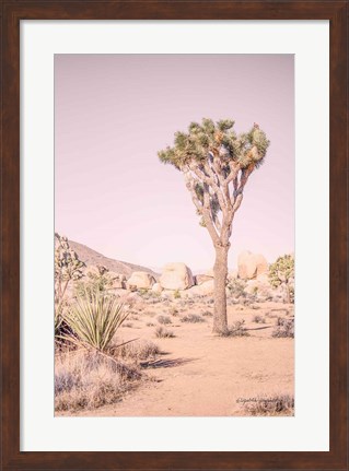 Framed Joshua Tree III Blush Print