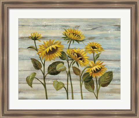 Framed Cottage Sunflowers Print