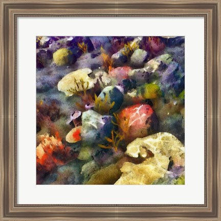 Framed Sea Life III Print