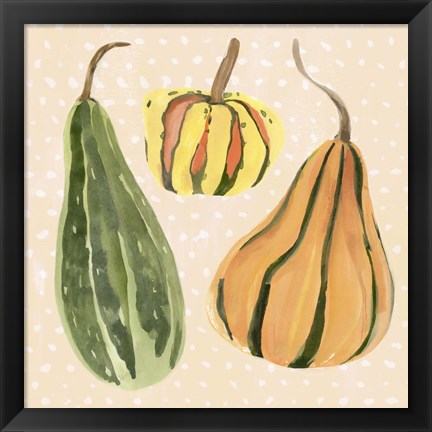 Framed Decorative Gourd II Print