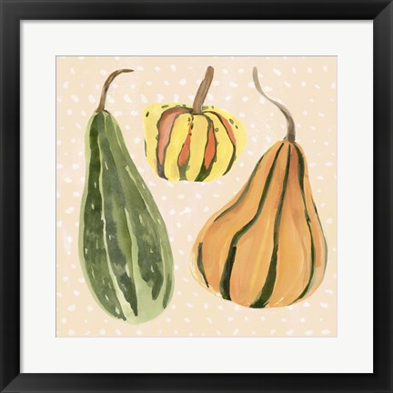 Framed Decorative Gourd II Print