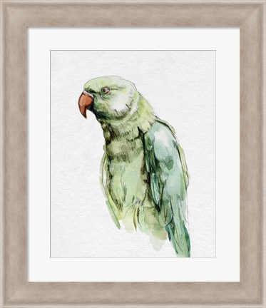 Framed Bright Parrot Portrait I Print