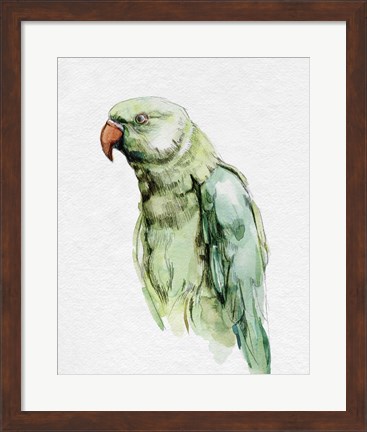 Framed Bright Parrot Portrait I Print