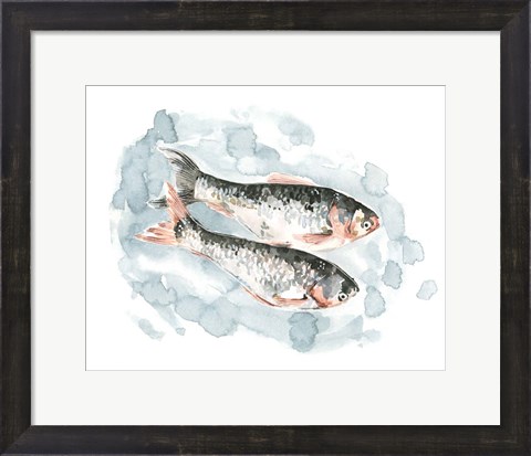 Framed Pisces Pair II Print