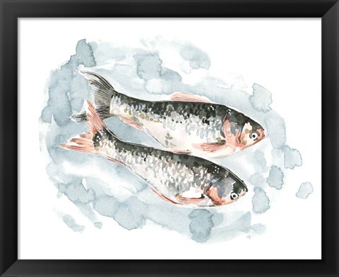 Framed Pisces Pair II Print