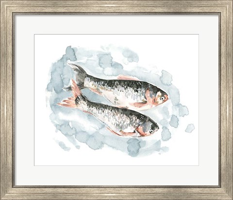 Framed Pisces Pair II Print