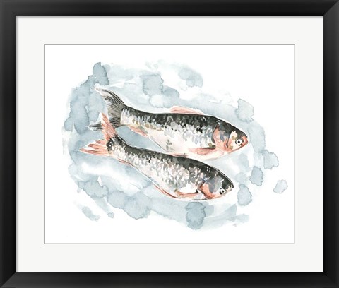 Framed Pisces Pair II Print