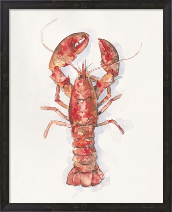 Framed Salty Lobster I Print