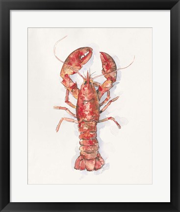 Framed Salty Lobster I Print