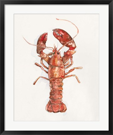 Framed Salty Lobster II Print