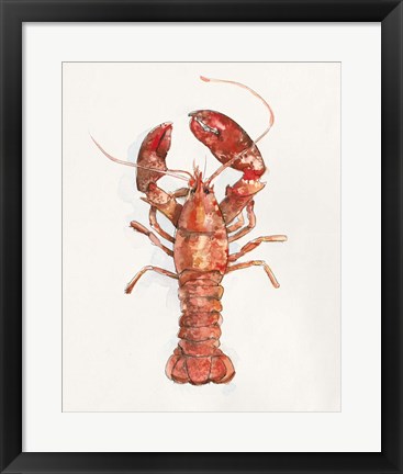 Framed Salty Lobster II Print