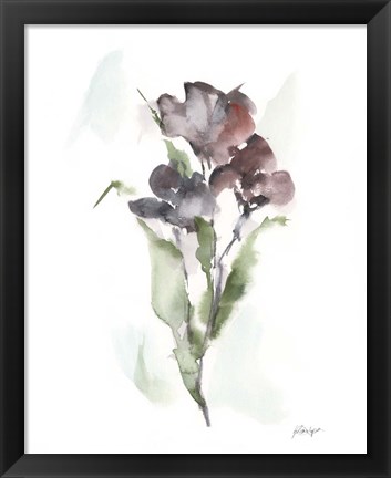 Framed Plum Bouquet II Print