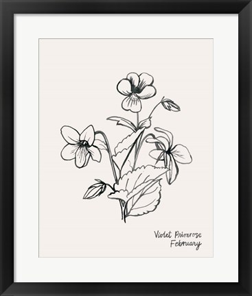 Framed Annual Flowers II Print