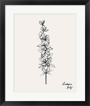 Framed Annual Flowers VII Print