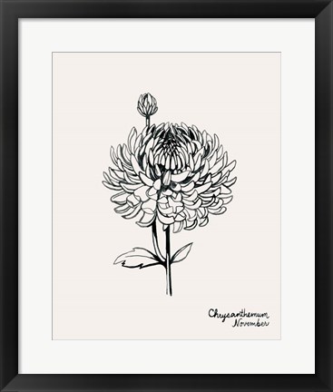 Framed Annual Flowers XI Print