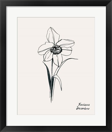 Framed Annual Flowers XII Print