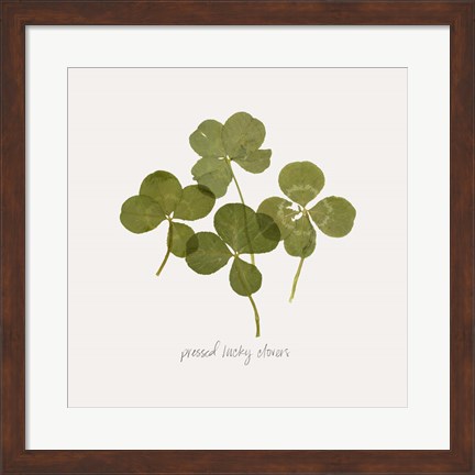 Framed Pressed Clover I Print