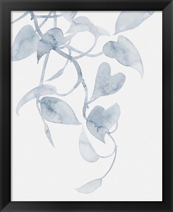 Framed Pothos Penumbra I Print