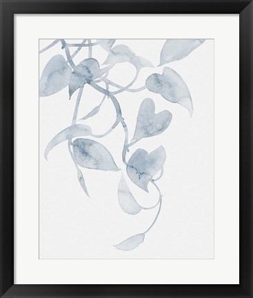 Framed Pothos Penumbra I Print