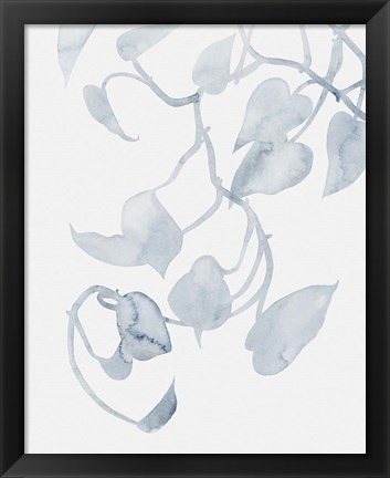 Framed Pothos Penumbra II Print