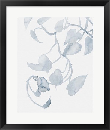 Framed Pothos Penumbra II Print