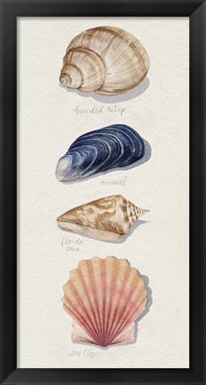 Framed Shore Things II Print