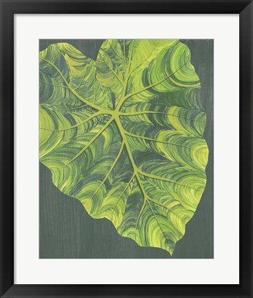 Framed Elephant Ears I Print