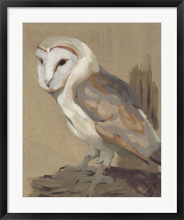 Framed Common Barn Owl Portrait II Print