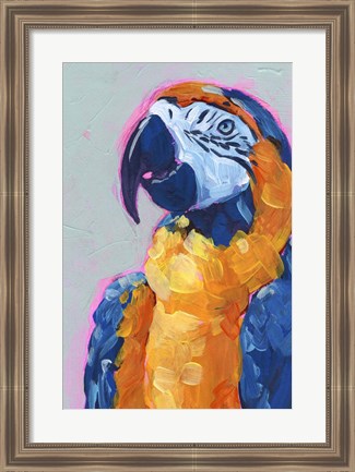 Framed Pop Art Parrot I Print