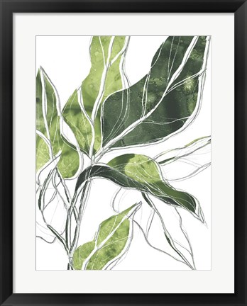 Framed Expressive Palm III Print