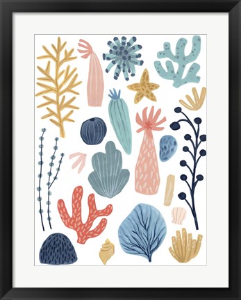 Framed Reef Assortment II Print