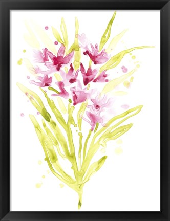 Framed Fuchsia Impulse I Print